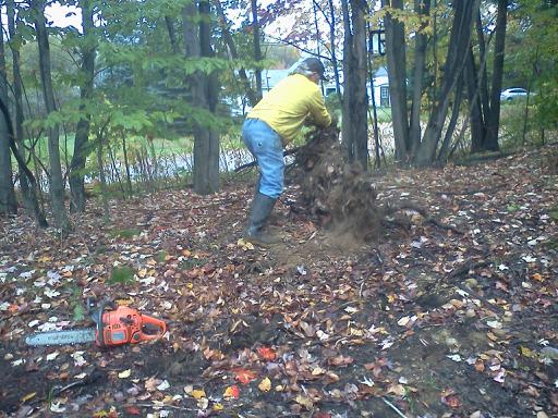 project photo #2